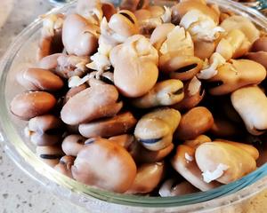 地道小吃天津捂豆的做法 步骤6