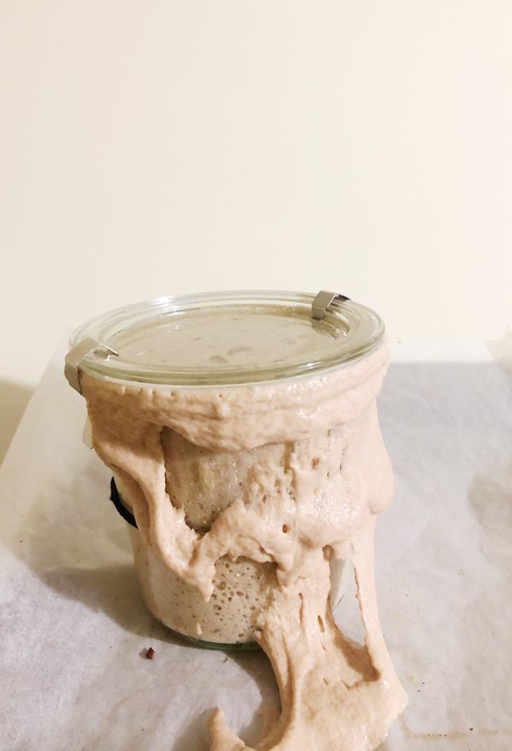 天然酵母—鲁邦种养成注意事项