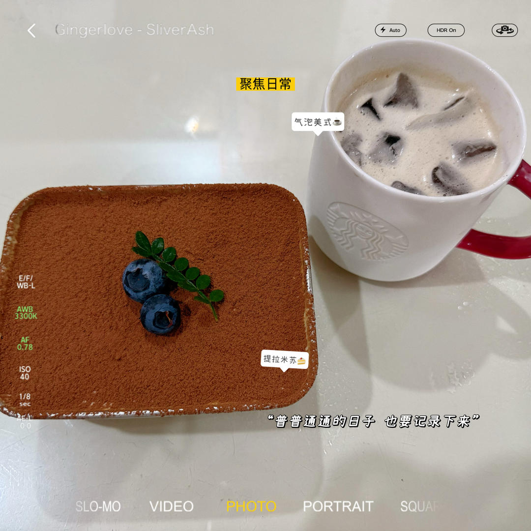 在欧洲学会的经典版提拉米苏