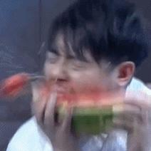 枸杞顿苹果