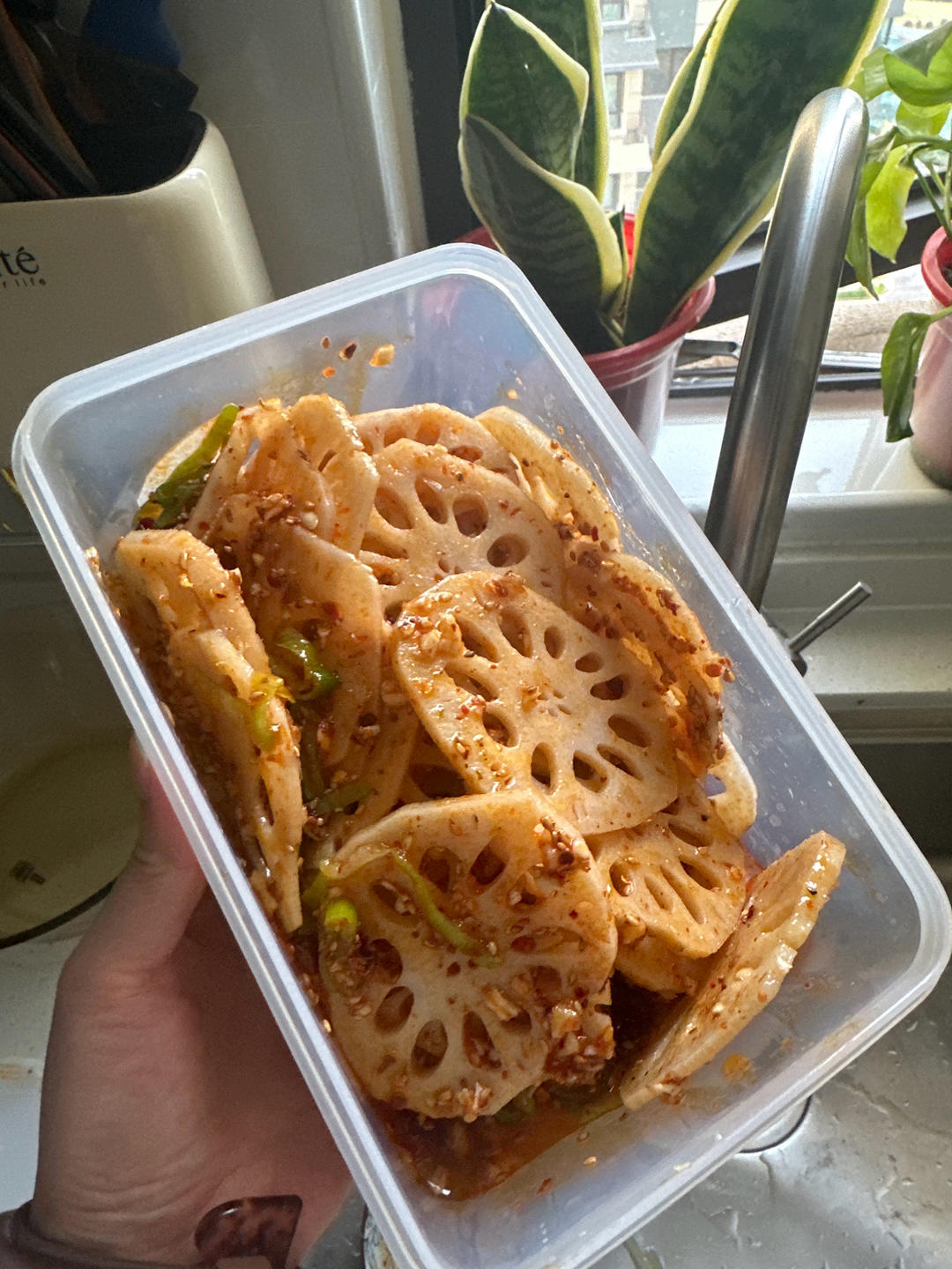 家常凉菜之凉拌藕片