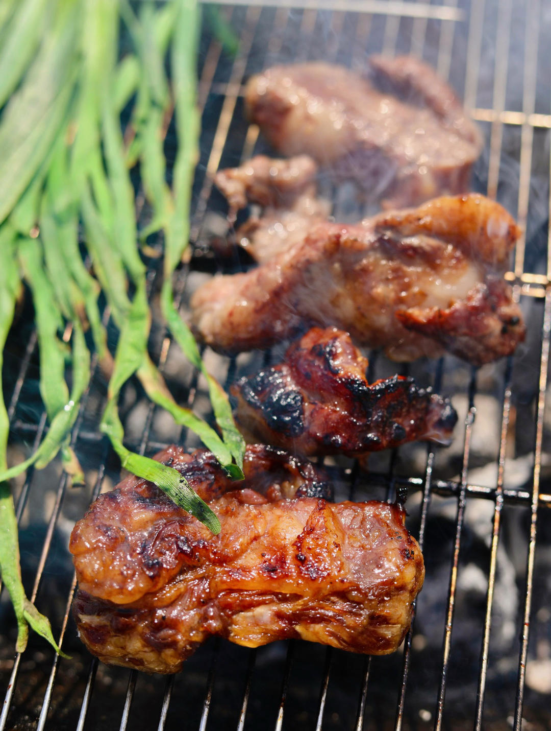 红烧肉等 肉类菜