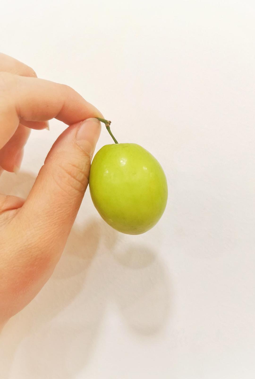 一饭一食一世界