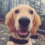 王石头_