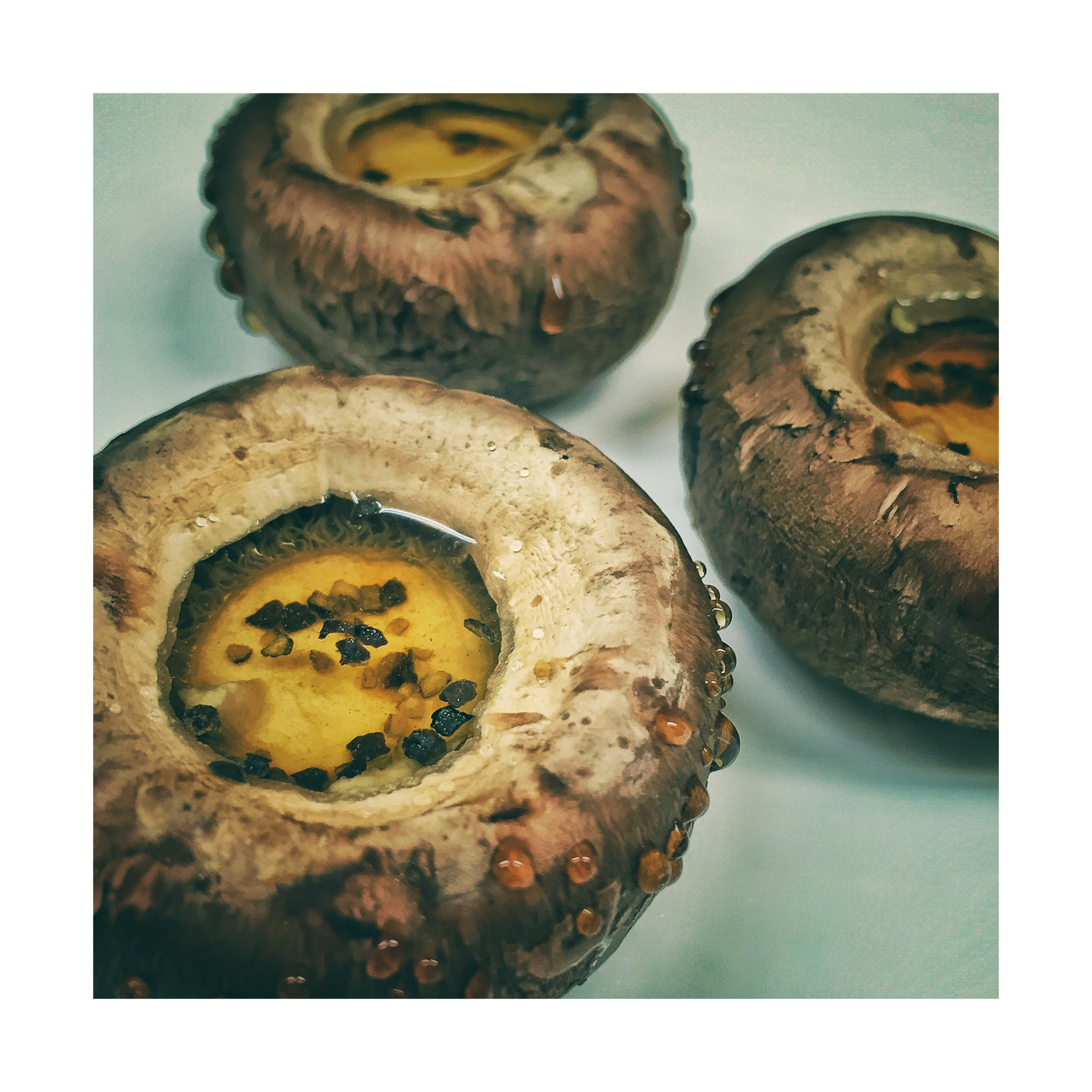 原汁原味的蘑菇