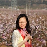 球妈_v4a6