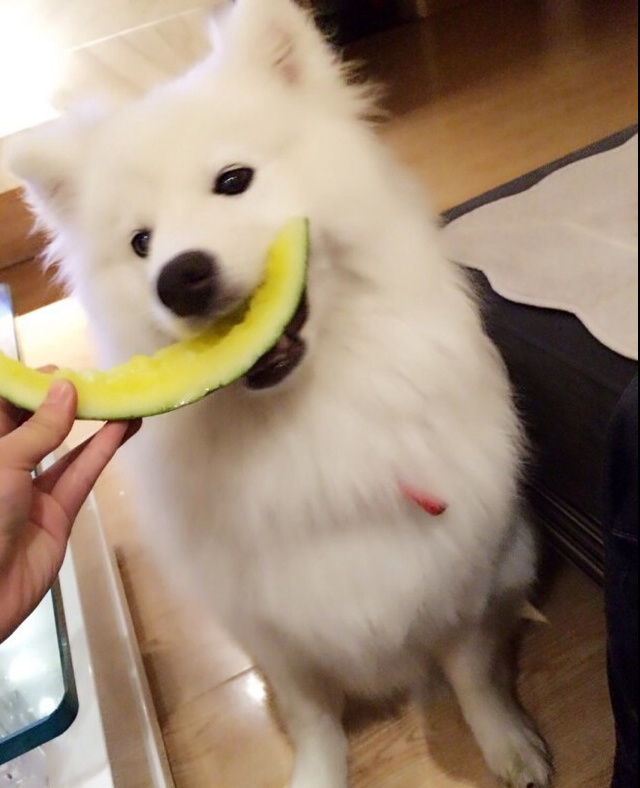 想去巴厘岛的李小妞