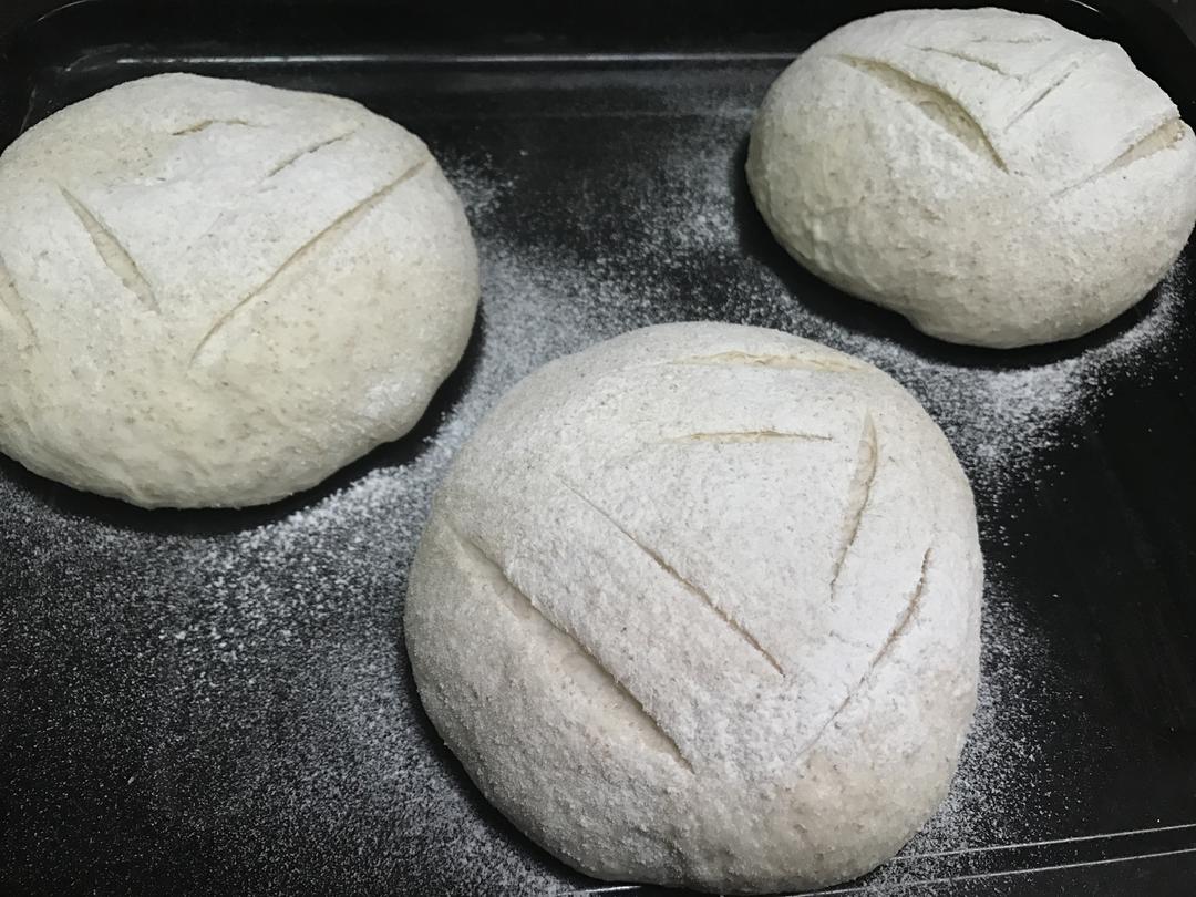 黑麦蔓越莓软欧包