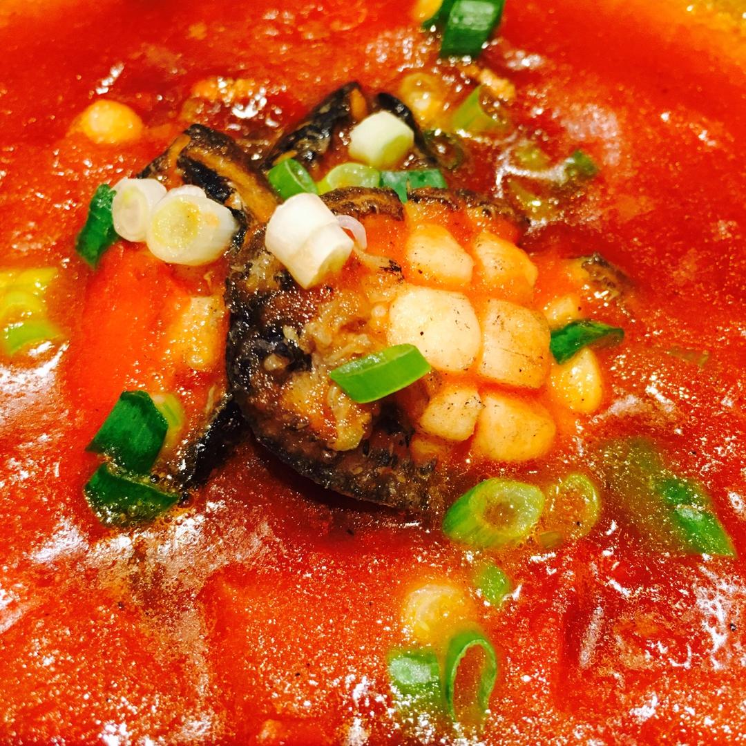 forrest_sttl做的番茄煮鲍鱼