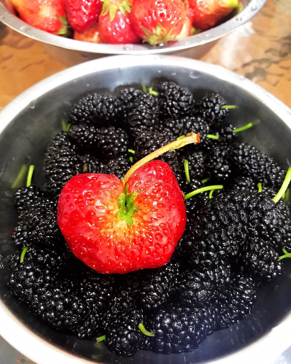 奇怪的果子和食材也好美
