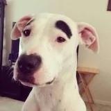 黑妹姐姐的人生