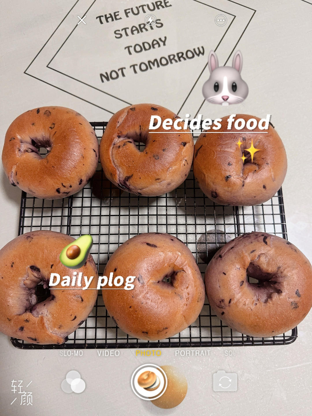 蓝莓蔓越莓贝果