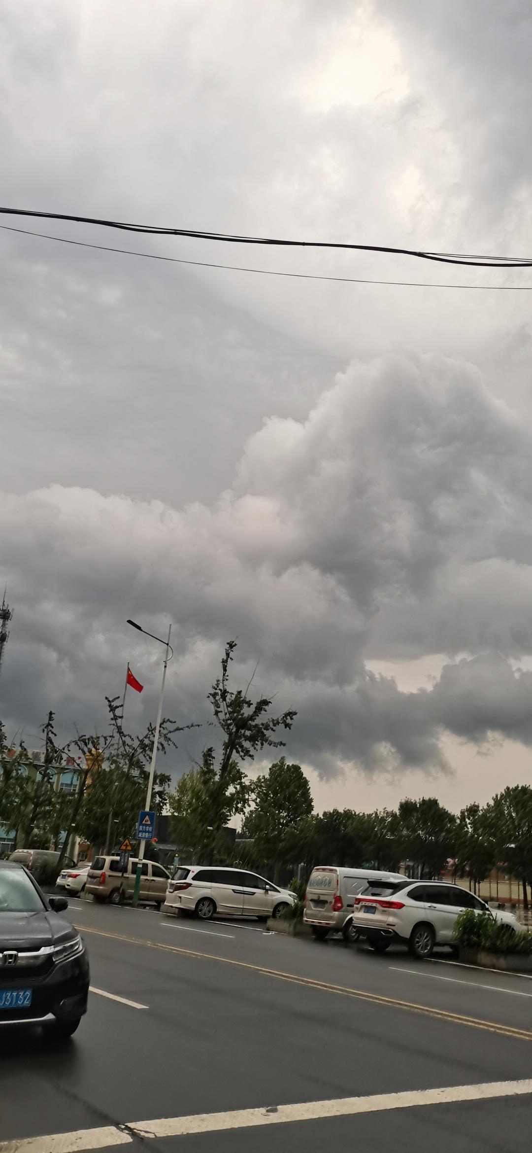 东北家常地三鲜