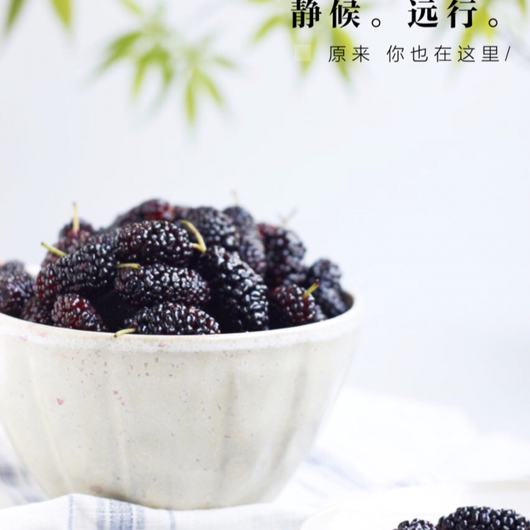 2017 从春约到冬