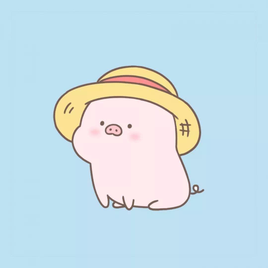 呼吸安猪
