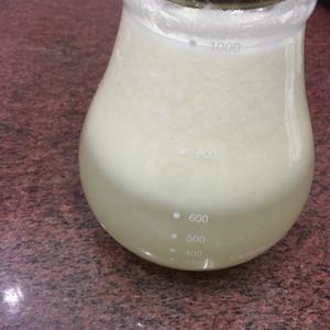 夏日回甘生津——黄皮果汁的做法 步骤4
