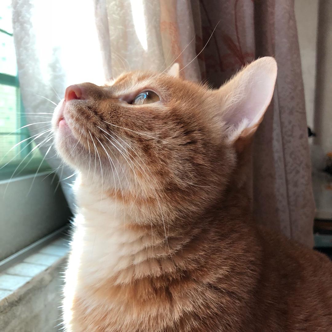 winwin与咕咕