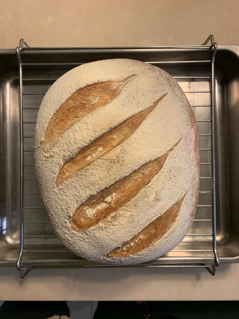 【保罗教你做面包】布鲁姆面包 Bloomer