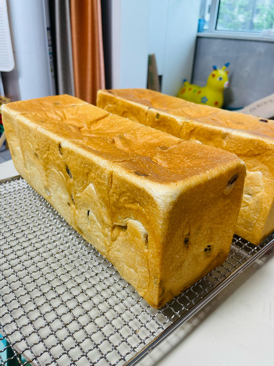鲜奶提子吐司