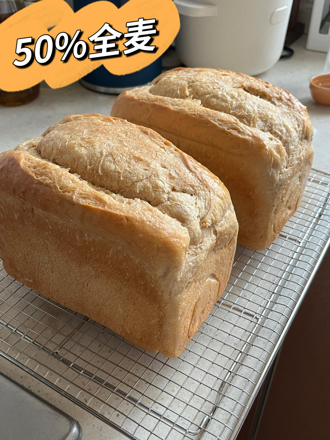 口感非常好的50%全麦主食餐包