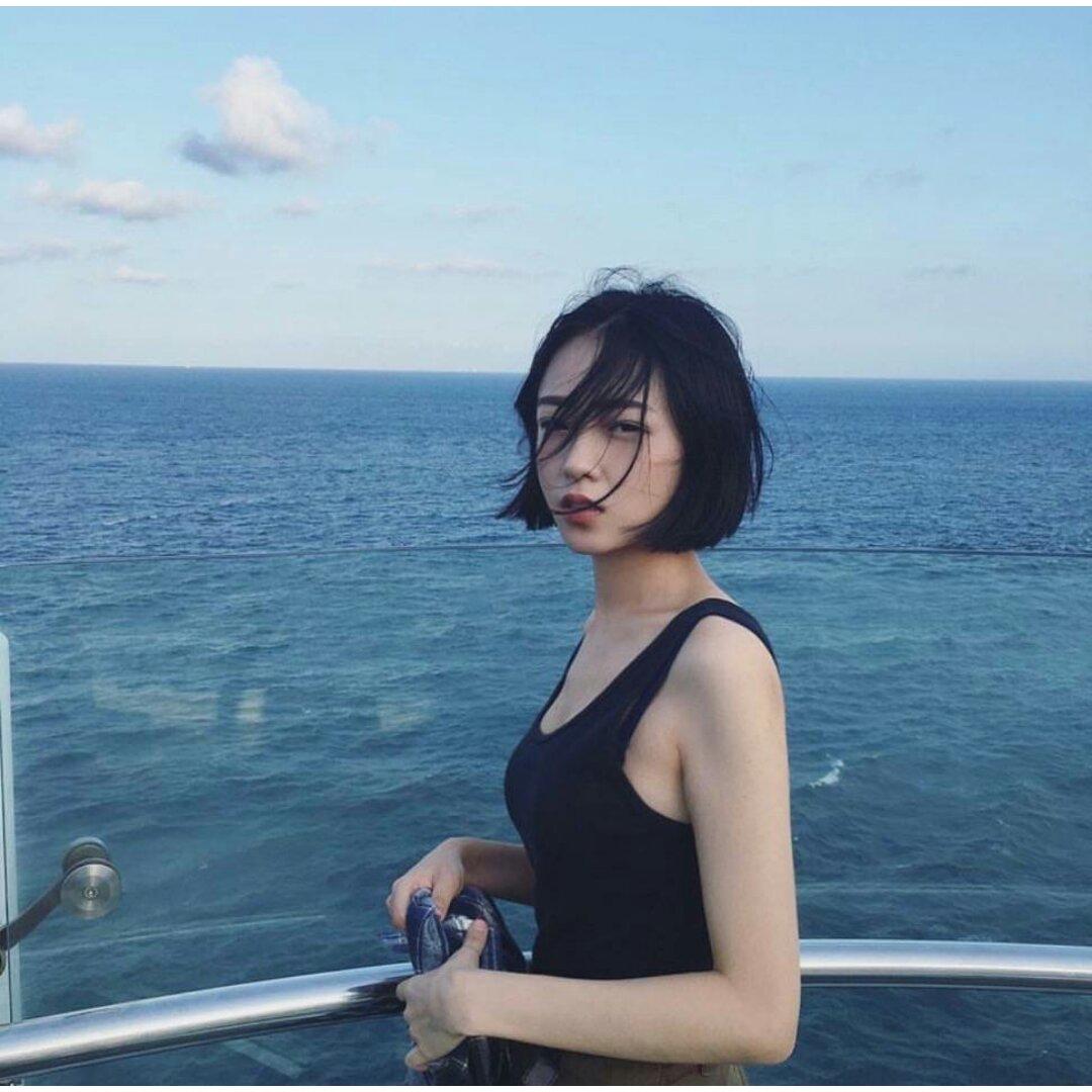 磕宠