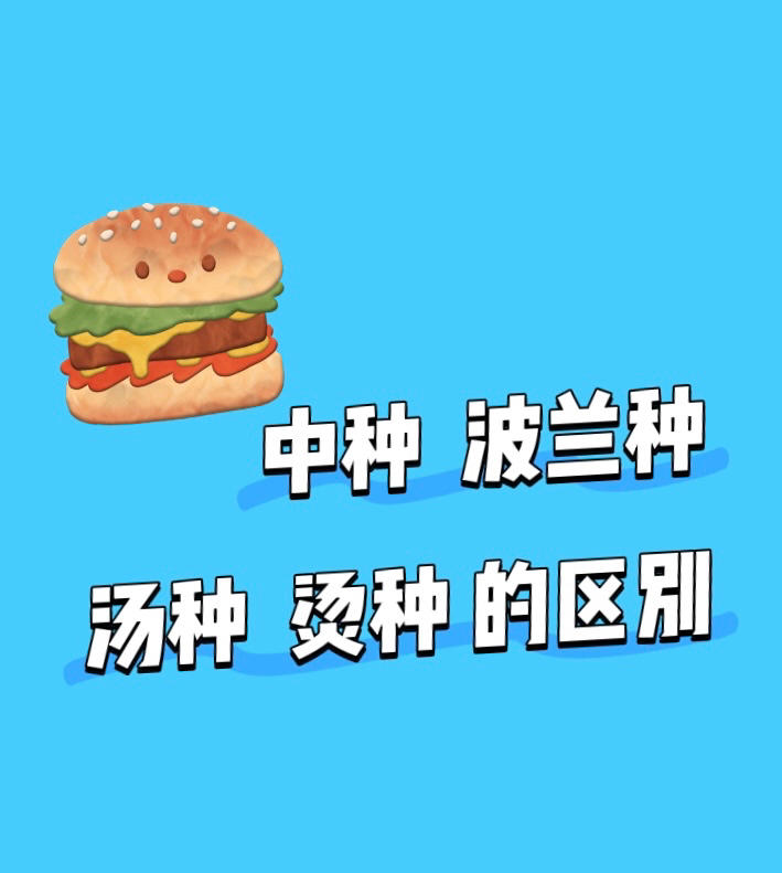 中种/波兰种/汤种/烫种的区别的做法