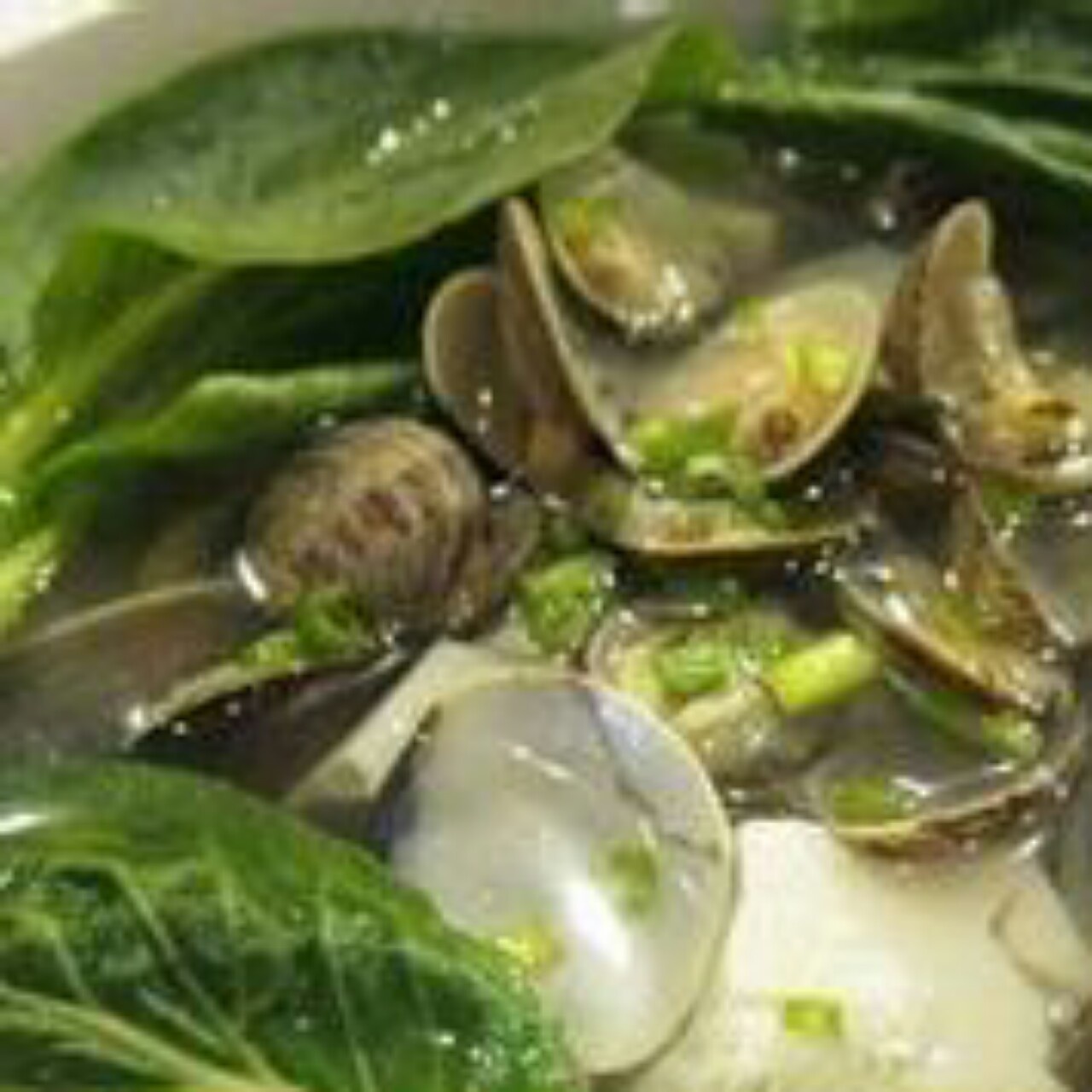 贝壳青菜汤