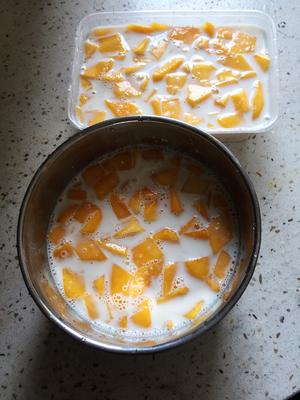 芒果牛奶冻的做法 步骤4