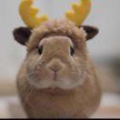 下雨遇见糖葫芦的厨房