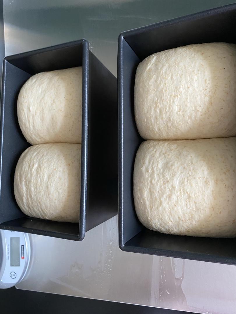 波兰种全麦吐司