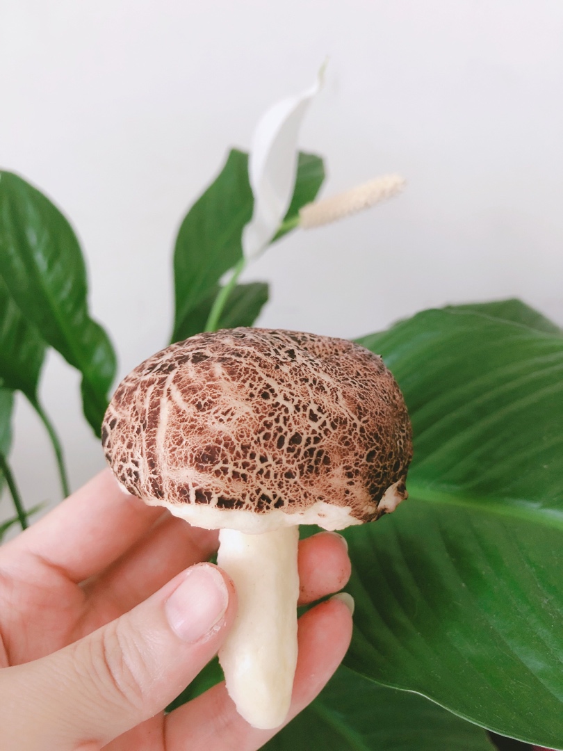 蘑菇馒头 北鼎蒸炖锅食谱