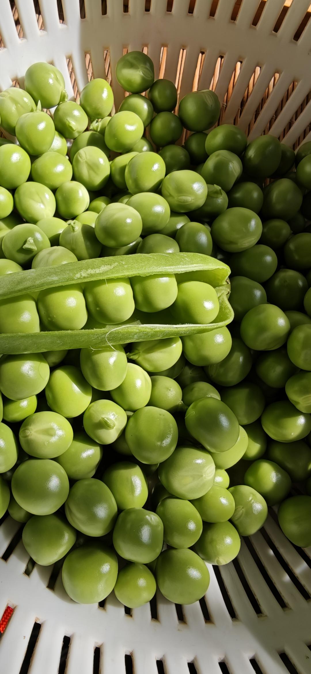 豆焖饭（昆明味道）