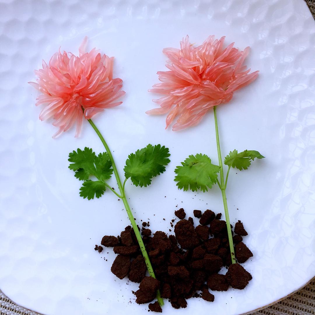 美丽的柚子花
