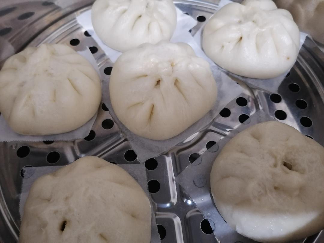 多汁鲜肉包子(一发）