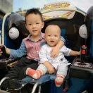 静静的小宝贝们