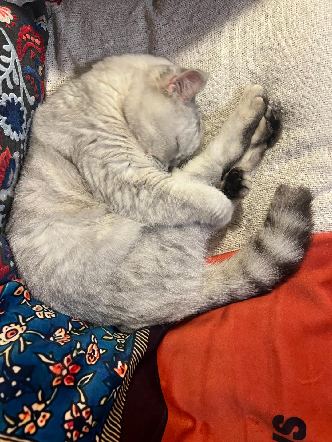 多动症患者就是我