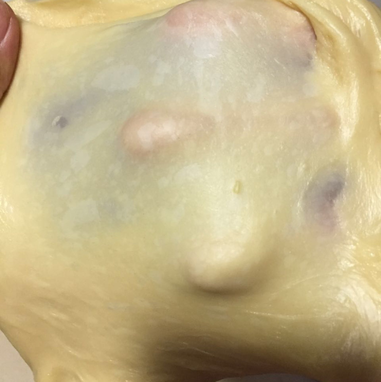 菠萝包（附10分钟手套膜和快速软面包做法）