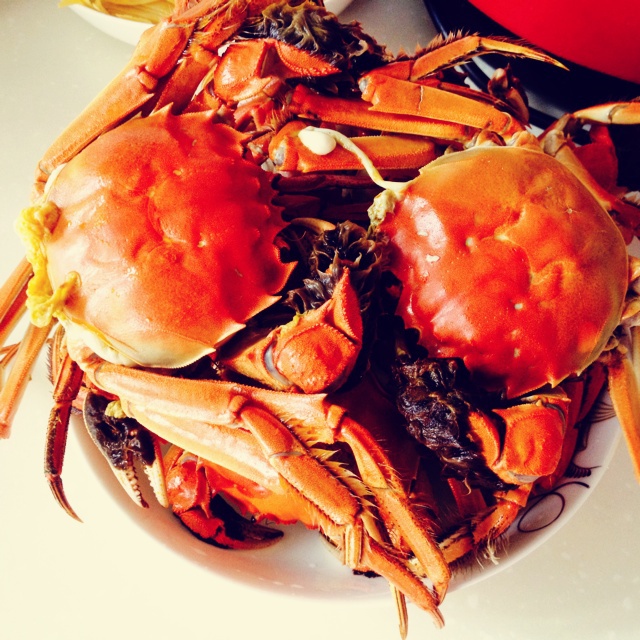 清蒸大闸蟹