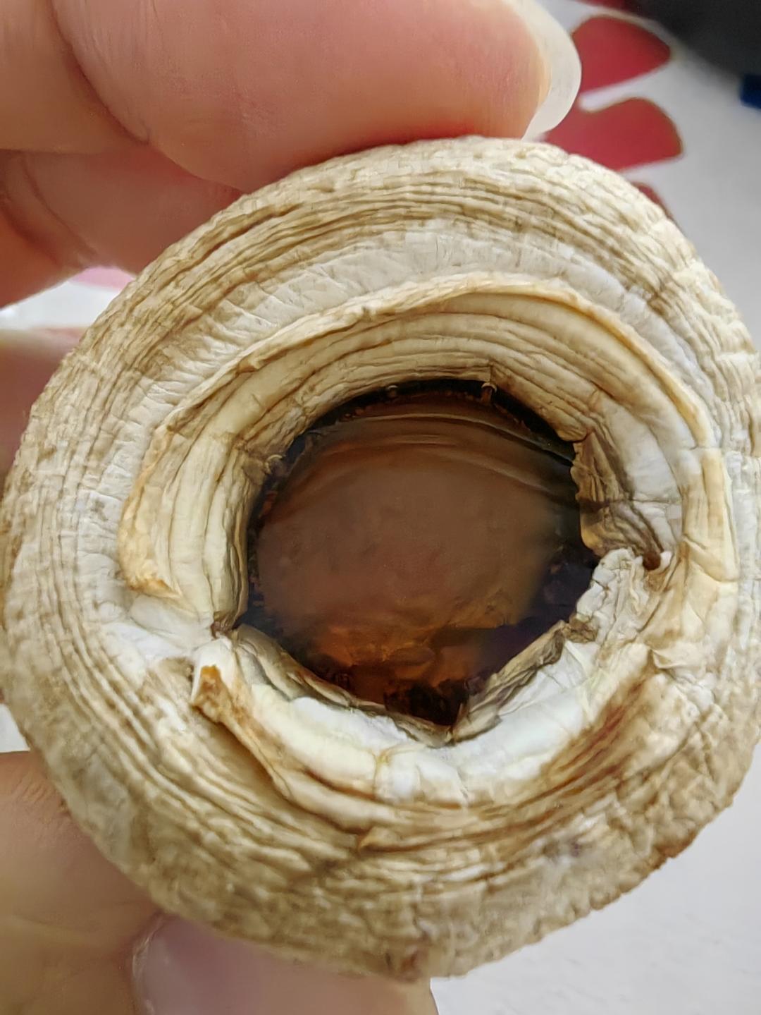 零难度烤口蘑（空气炸锅版）