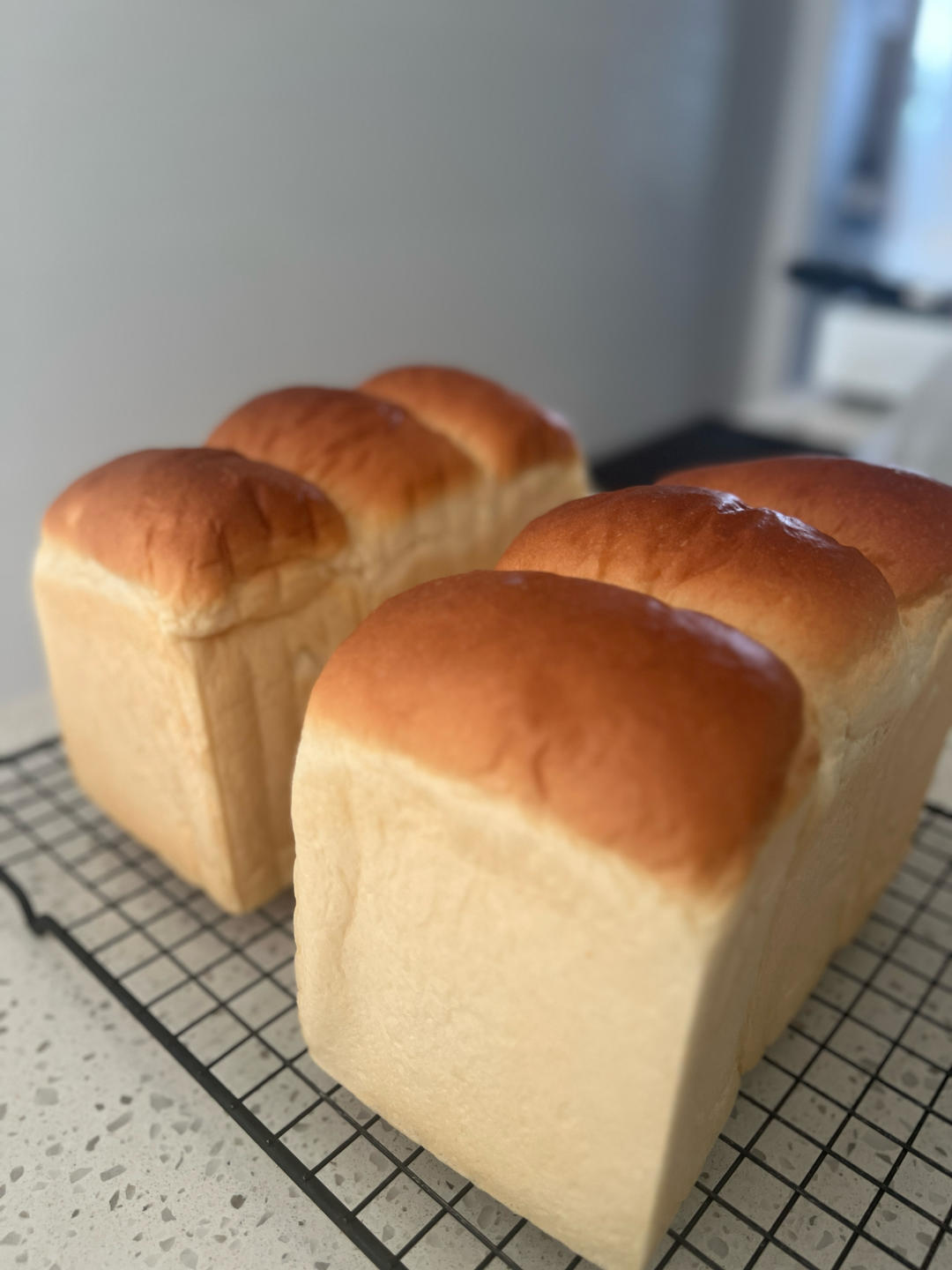 北海道吐司🍞（70%中种冷藏）