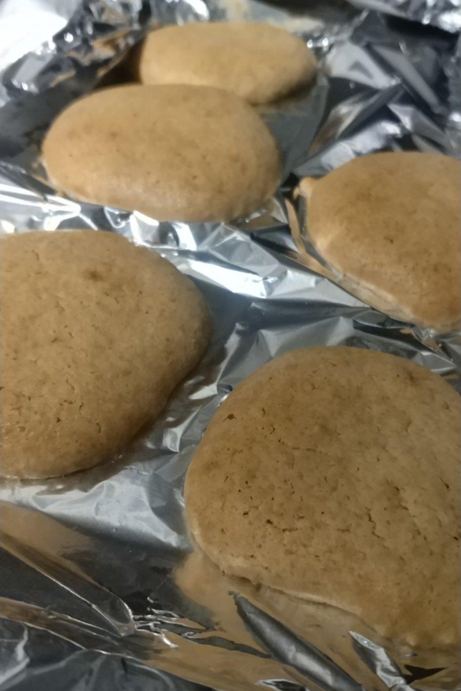 蛋白椰丝球