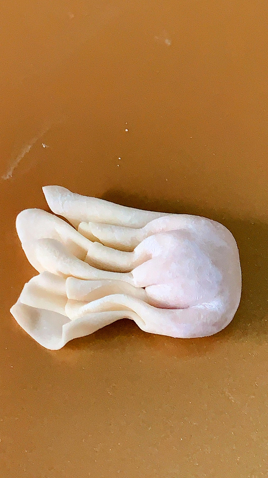 小金鱼馄饨（宝宝馄饨）