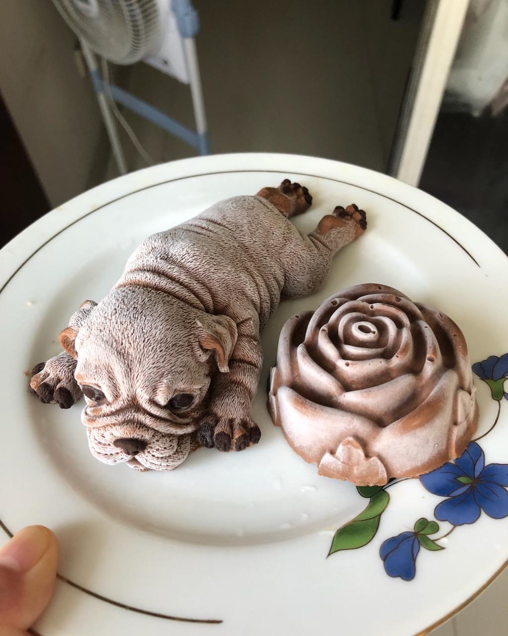 网红慕斯狗（琴姐）