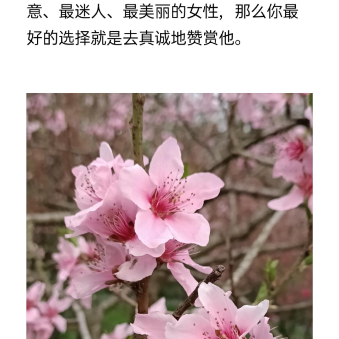 小静莜