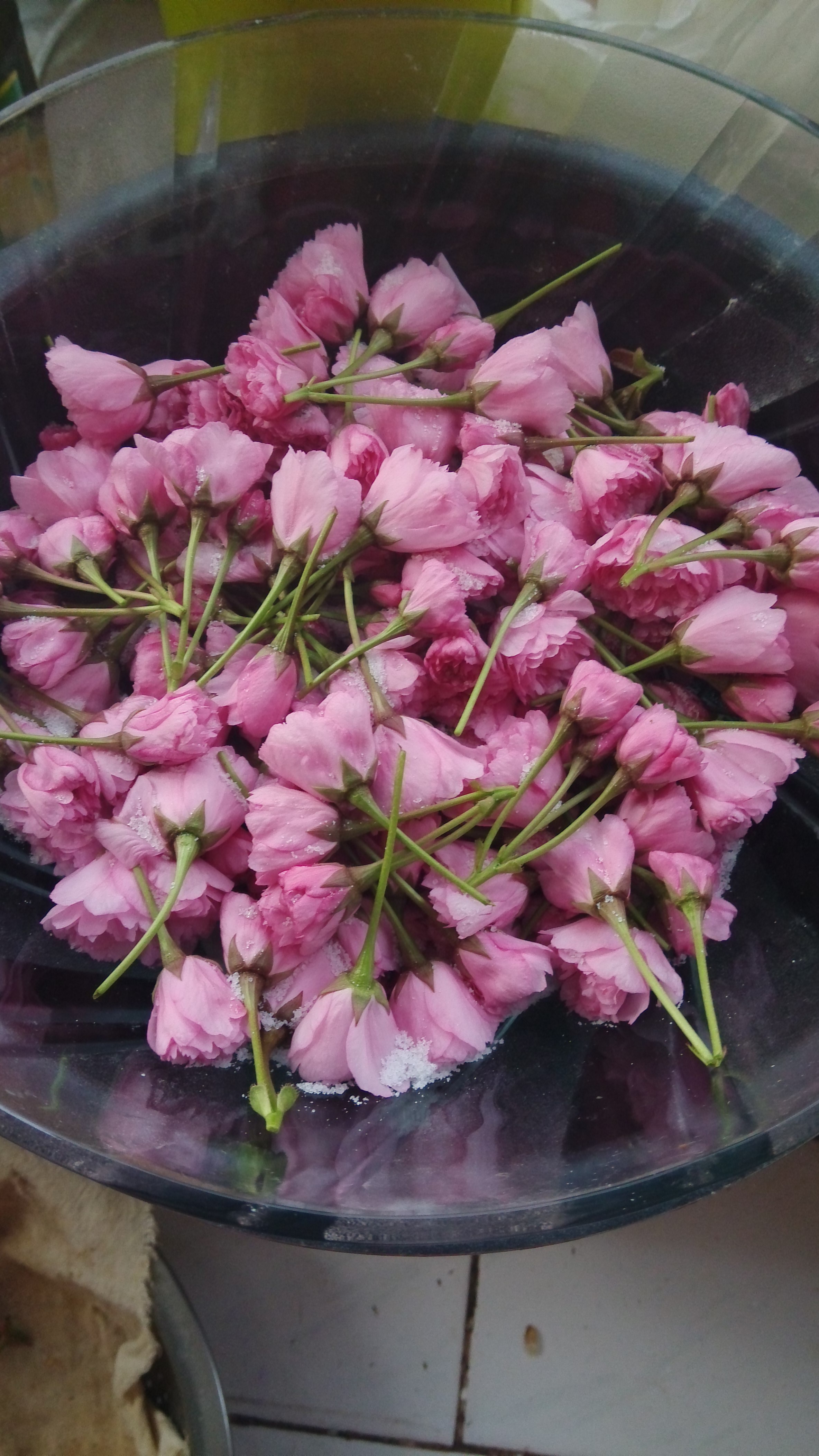 乔小琳做的盐渍樱花