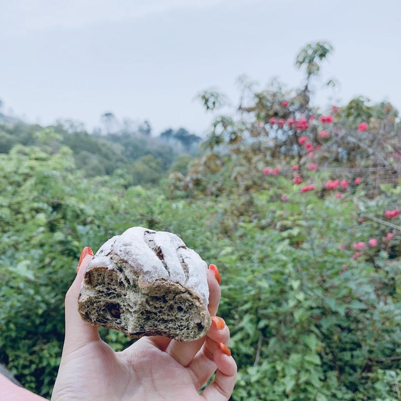 全麦核桃包～软欧包