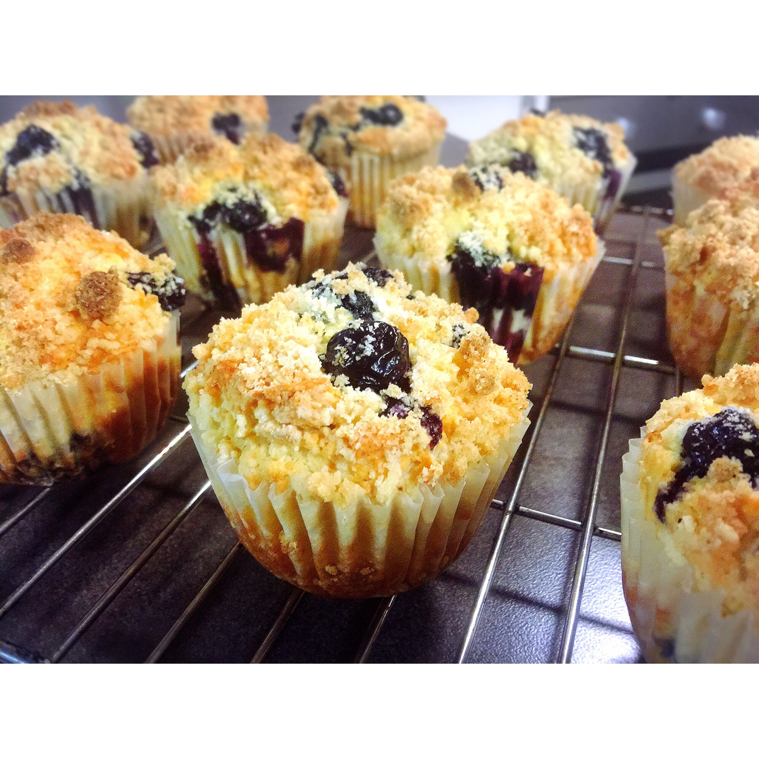 PH大师的蓝莓马芬