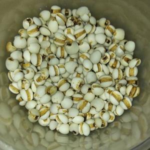 红豆薏米百合汤的做法 步骤2