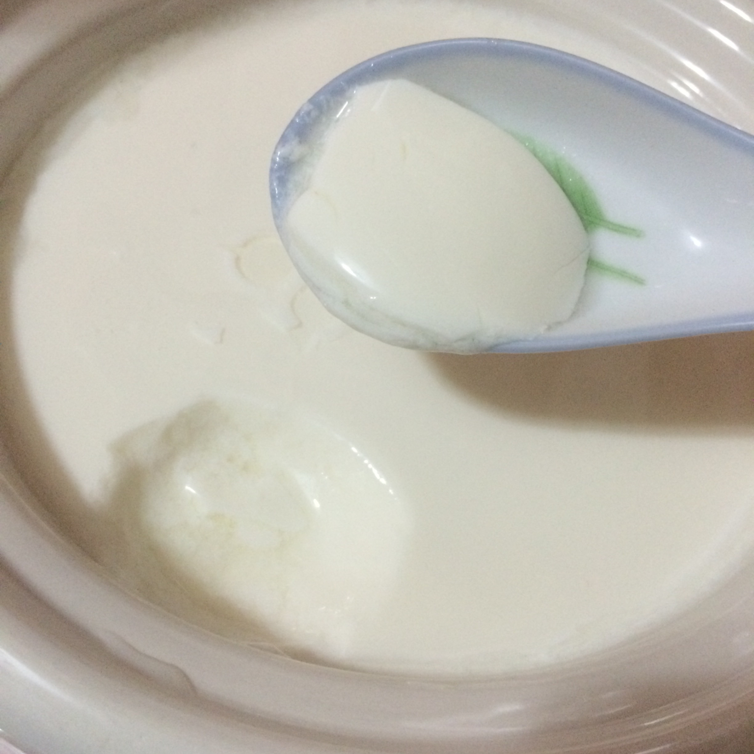 自制酸奶简单100%成功
