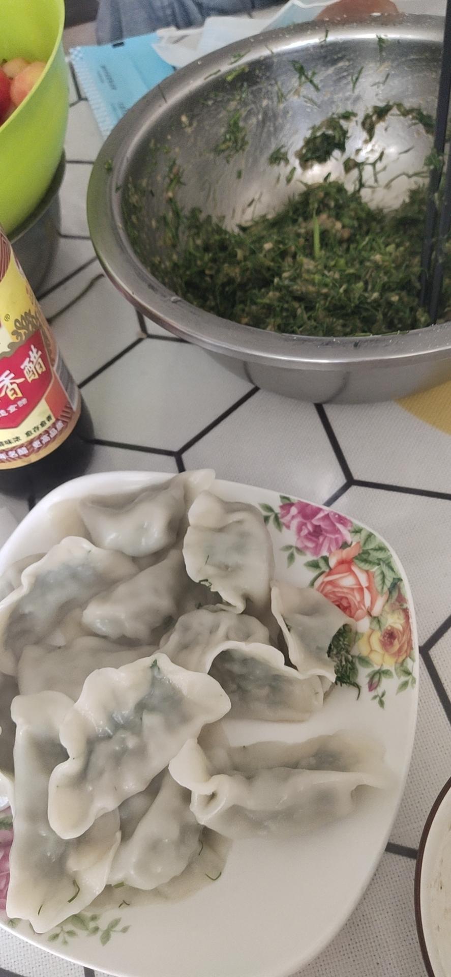 茴香苗猪肉馅水饺